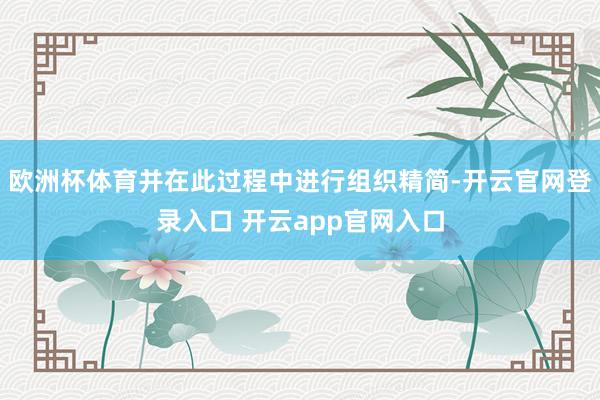 欧洲杯体育并在此过程中进行组织精简-开云官网登录入口 开云app官网入口
