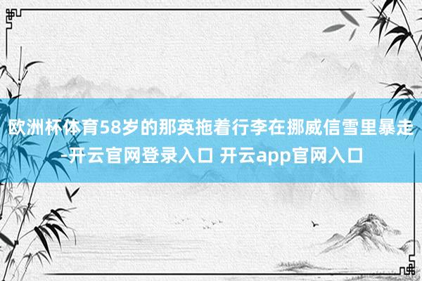 欧洲杯体育58岁的那英拖着行李在挪威信雪里暴走-开云官网登录入口 开云app官网入口