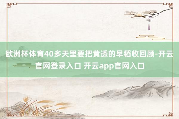 欧洲杯体育40多天里要把黄透的早稻收回顾-开云官网登录入口 开云app官网入口