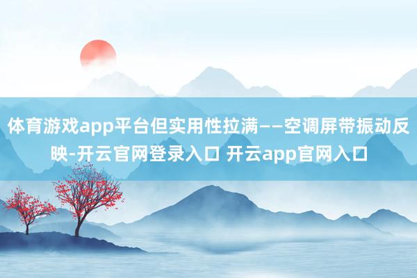 体育游戏app平台但实用性拉满——空调屏带振动反映-开云官网登录入口 开云app官网入口