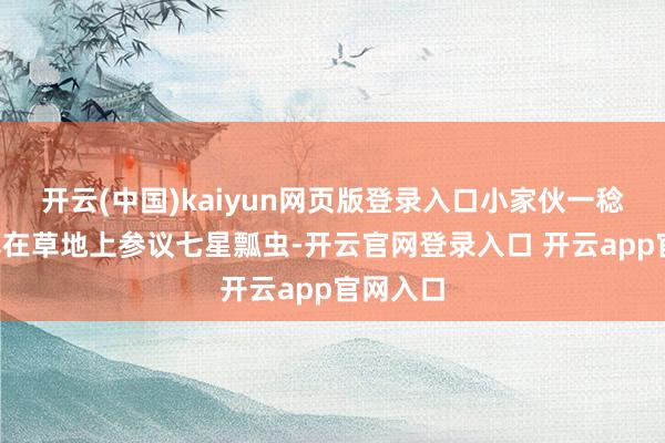 开云(中国)kaiyun网页版登录入口小家伙一稔白T恤蹲在草地上参议七星瓢虫-开云官网登录入口 开云app官网入口
