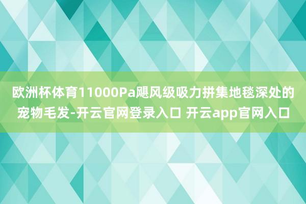 欧洲杯体育11000Pa飓风级吸力拼集地毯深处的宠物毛发-开云官网登录入口 开云app官网入口
