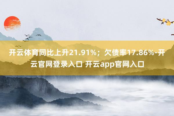 开云体育同比上升21.91%；欠债率17.86%-开云官网登录入口 开云app官网入口