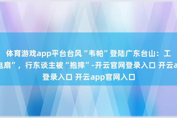 体育游戏app平台台风“韦帕”登陆广东台山：工地塔吊成“电扇”，行东谈主被“抱摔”-开云官网登录入口 开云app官网入口