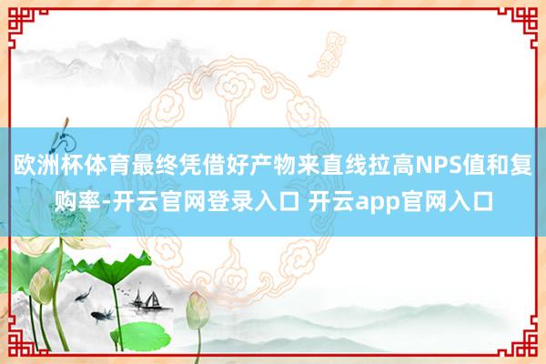 欧洲杯体育最终凭借好产物来直线拉高NPS值和复购率-开云官网登录入口 开云app官网入口