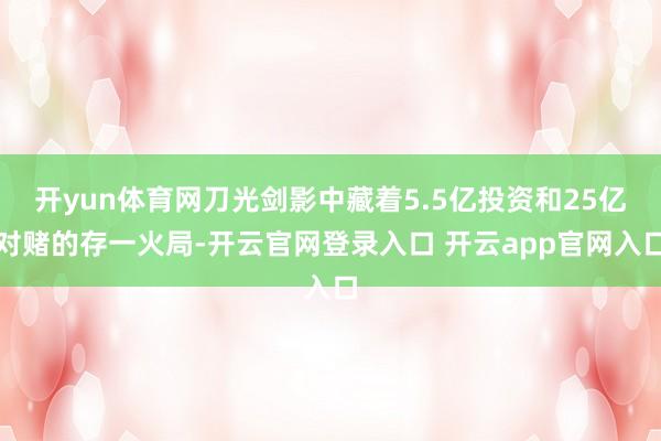 开yun体育网刀光剑影中藏着5.5亿投资和25亿对赌的存一火局-开云官网登录入口 开云app官网入口