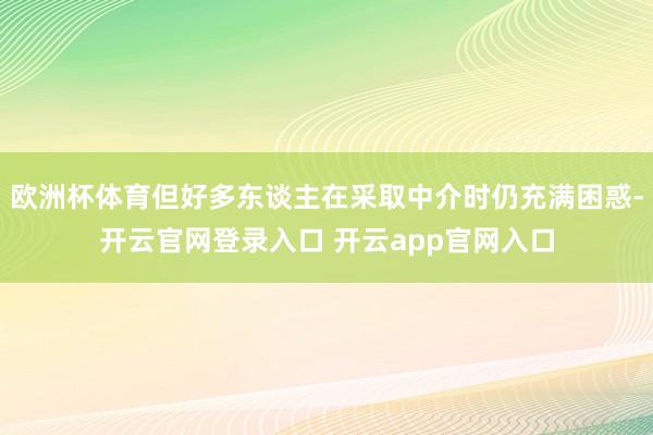 欧洲杯体育但好多东谈主在采取中介时仍充满困惑-开云官网登录入口 开云app官网入口