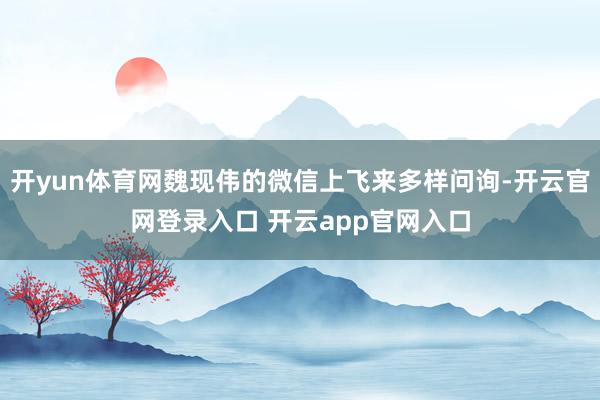 开yun体育网魏现伟的微信上飞来多样问询-开云官网登录入口 开云app官网入口