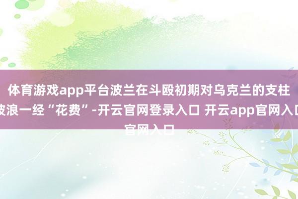 体育游戏app平台波兰在斗殴初期对乌克兰的支柱波浪一经“花费”-开云官网登录入口 开云app官网入口