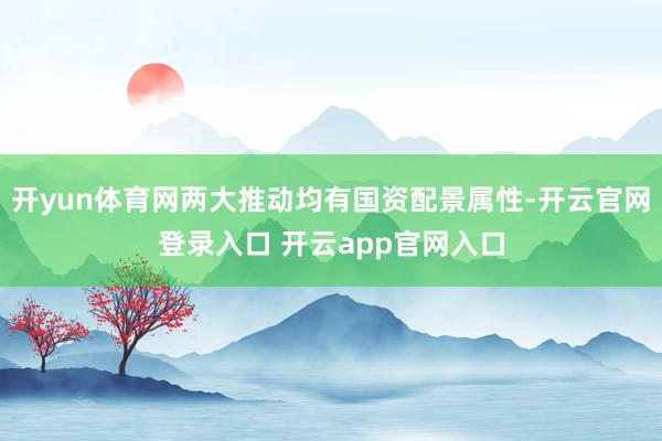 开yun体育网两大推动均有国资配景属性-开云官网登录入口 开云app官网入口