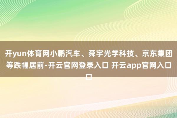 开yun体育网小鹏汽车、舜宇光学科技、京东集团等跌幅居前-开云官网登录入口 开云app官网入口