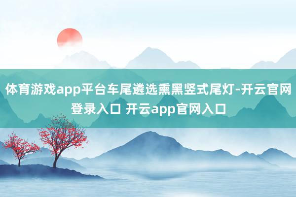 体育游戏app平台车尾遴选熏黑竖式尾灯-开云官网登录入口 开云app官网入口
