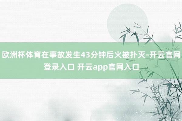 欧洲杯体育在事故发生43分钟后火被扑灭-开云官网登录入口 开云app官网入口