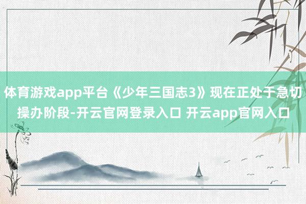 体育游戏app平台《少年三国志3》现在正处于急切操办阶段-开云官网登录入口 开云app官网入口